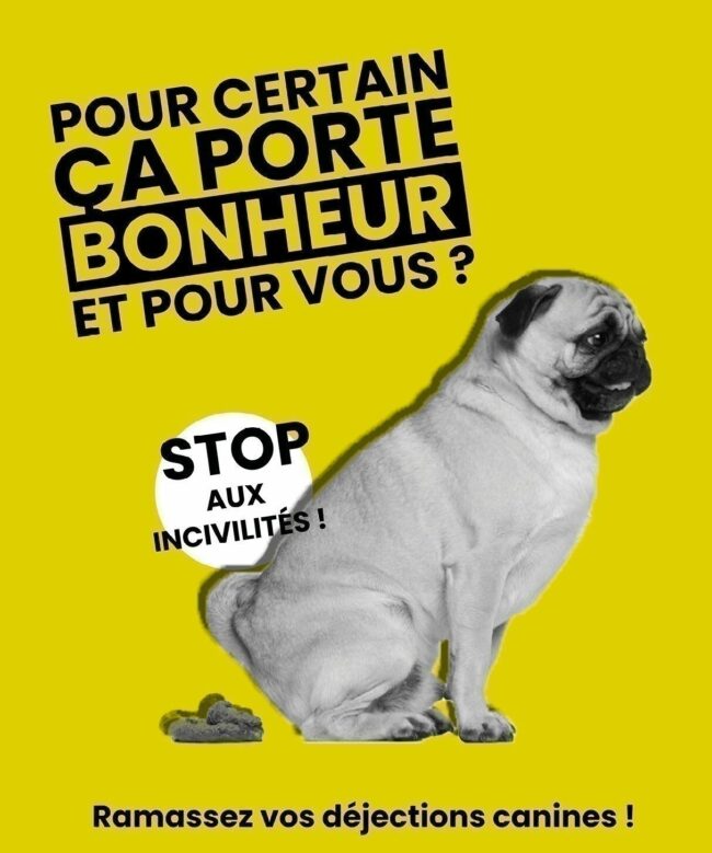 dejections canines 2